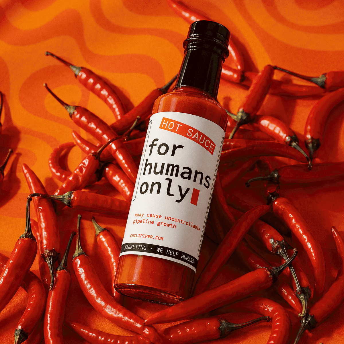 Hot Sauce - For Humans Only